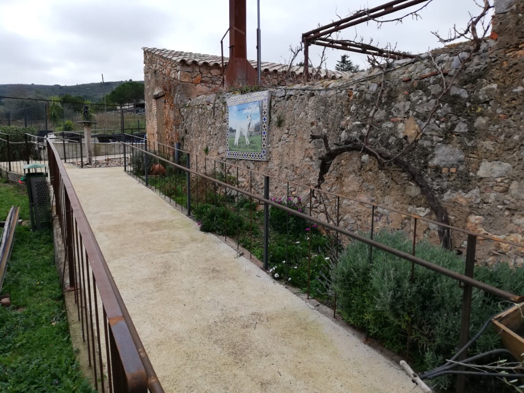 accessibility_1_1_.jpg accessibility_1_1_.jpg